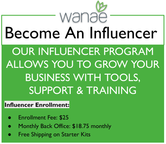 Become a Influencer